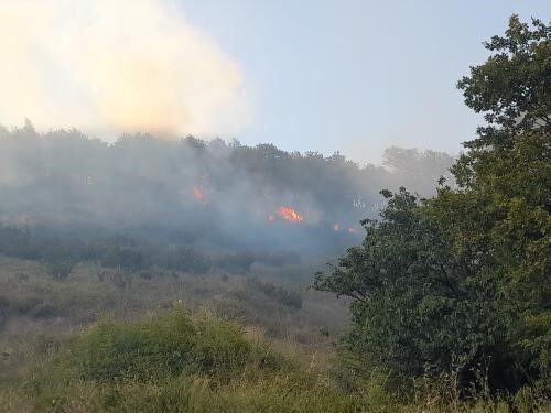 Yalova merkeze bağlı Sugören köyünde ormanlık alanda çıkan yangın, ekiplerin