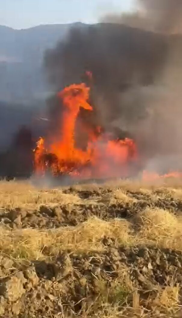 Yalova’nın Çiftlikköy ilçesinde tarlada çıkan yangında yüzlerce saman balyası kül