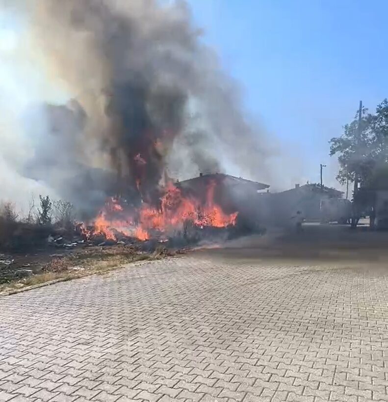 Yalova’nın Çınarcık ilçesinde zeytinlik alanda çıkan yangın, itfaiye ekipleri tarafından