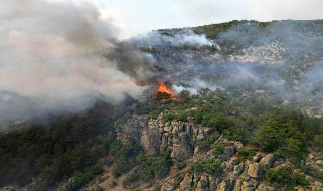 Eskişehir’in Seyitgazi ilçesinde çıkan ve Afyonkarahisar’a da sıçrayan yangını söndürme