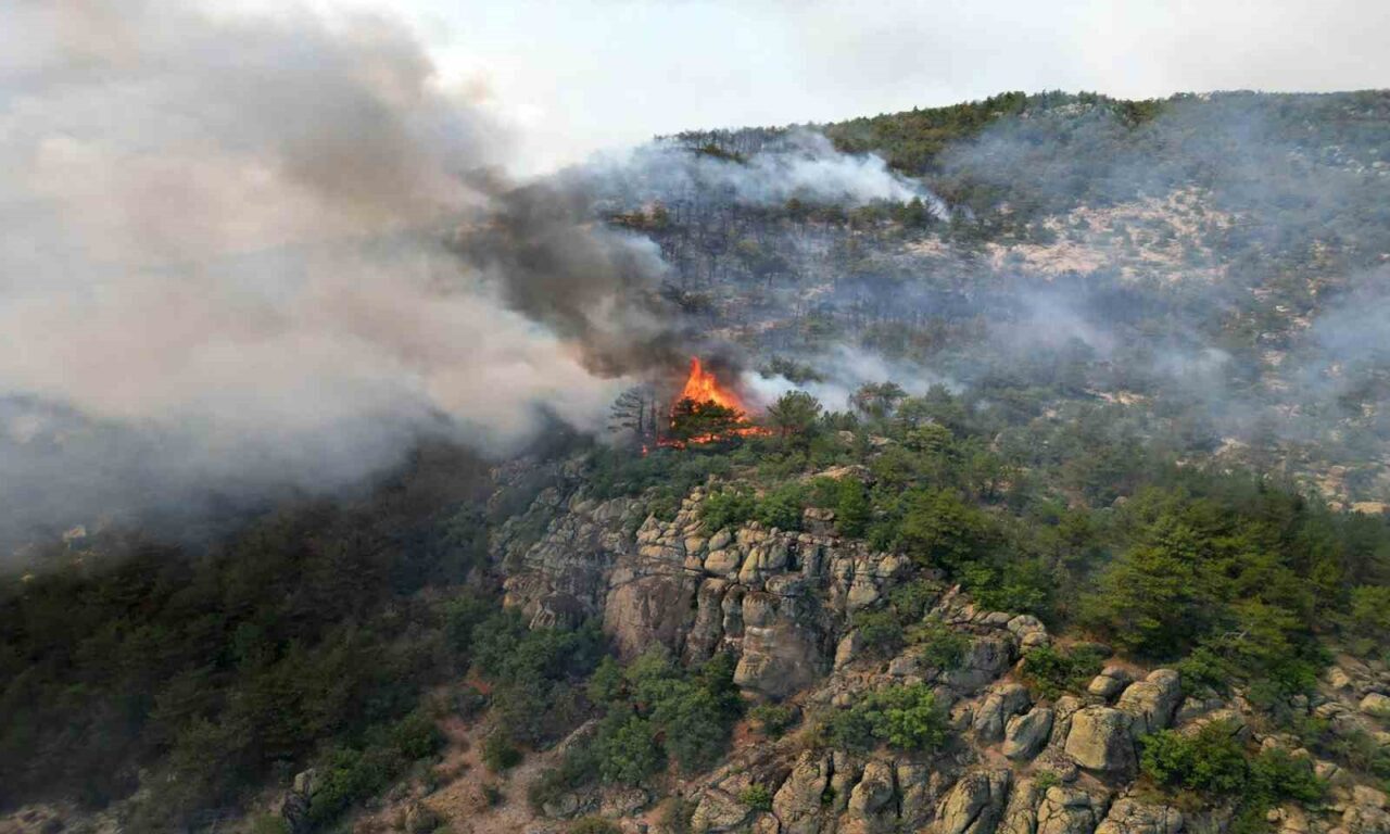 Eskişehir’in Seyitgazi ilçesinde çıkan ve Afyonkarahisar’a da sıçrayan yangını söndürme