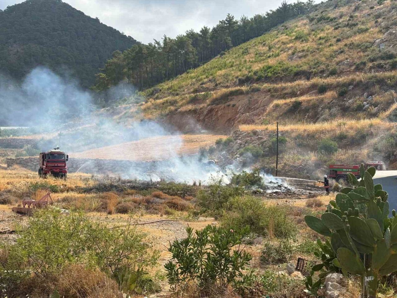 Mersin’in Bozyazı ilçesinde arazide çıkan yangın ormana sıçramadan söndürüldü. Yangın,