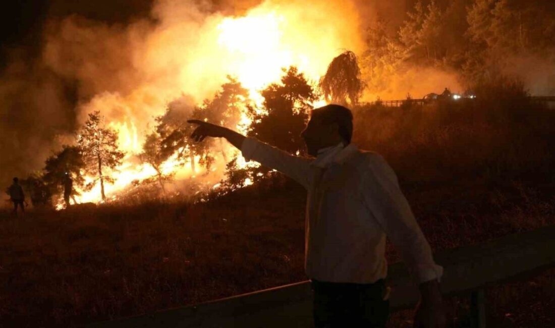 Bursa’nın Gürsu ilçesinde uçuruma yuvarlanan su tankerinde şehit olan 3