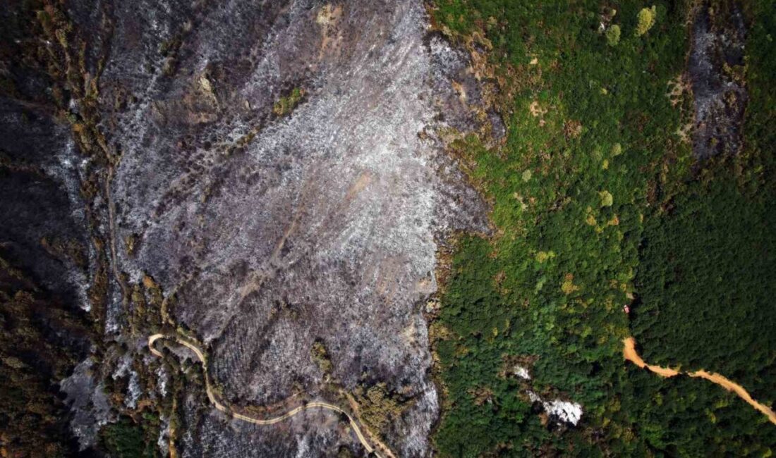Sakarya’nın Geyve ilçesine bağlı Nuruosmaniye ve Karaçam Mahallelerinde çıkan yangının