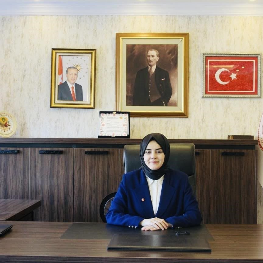 Bilecik’in Gölpazarı ilçesine bağlı köylerde meydana gelen yangınlar sonrası zarar