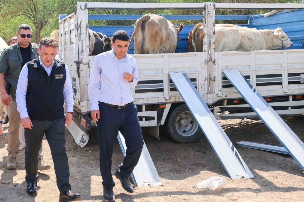 Bilecik’in Gölpazarı ilçesin’de geçtiğimiz günlerde meydana gelen yangınların ardından devletin