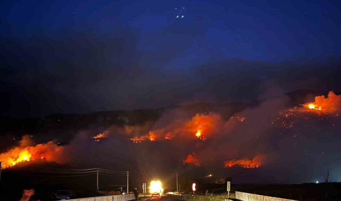 Sakarya’nın Geyve ilçesinde çıkan orman yangını, tahliye edilen bir mahalleye