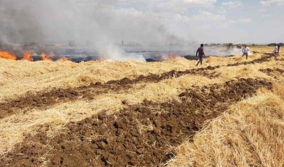 Hava sıcaklıklarının mevsim normallerinin üzerine seyrettiği bugünlerde Türkiye’nin farklı yerlerinde