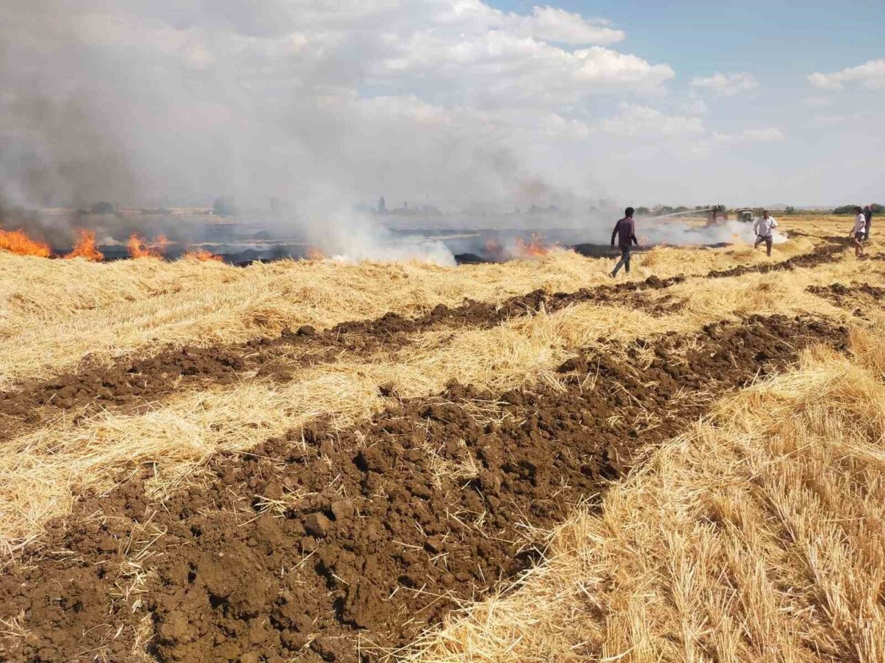 Hava sıcaklıklarının mevsim normallerinin üzerine seyrettiği bugünlerde Türkiye’nin farklı yerlerinde
