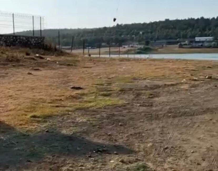 Bursa’nın Nilüfer ilçesinde çıkan orman yangına müdahale eden jandarma pilotu,