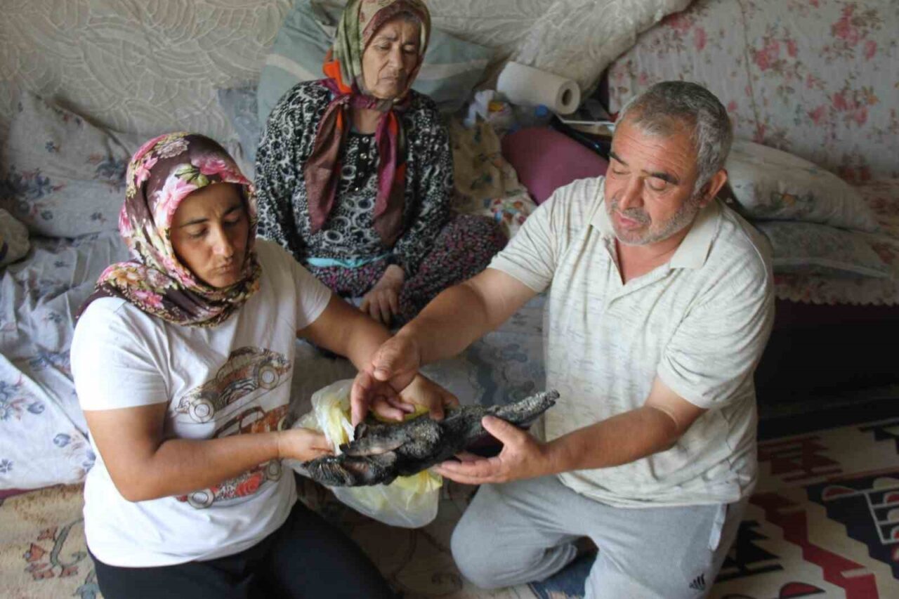 Antalya’nın Serik ilçesinde çıkan yangında yatalak annesini kurtarmak için mücadele