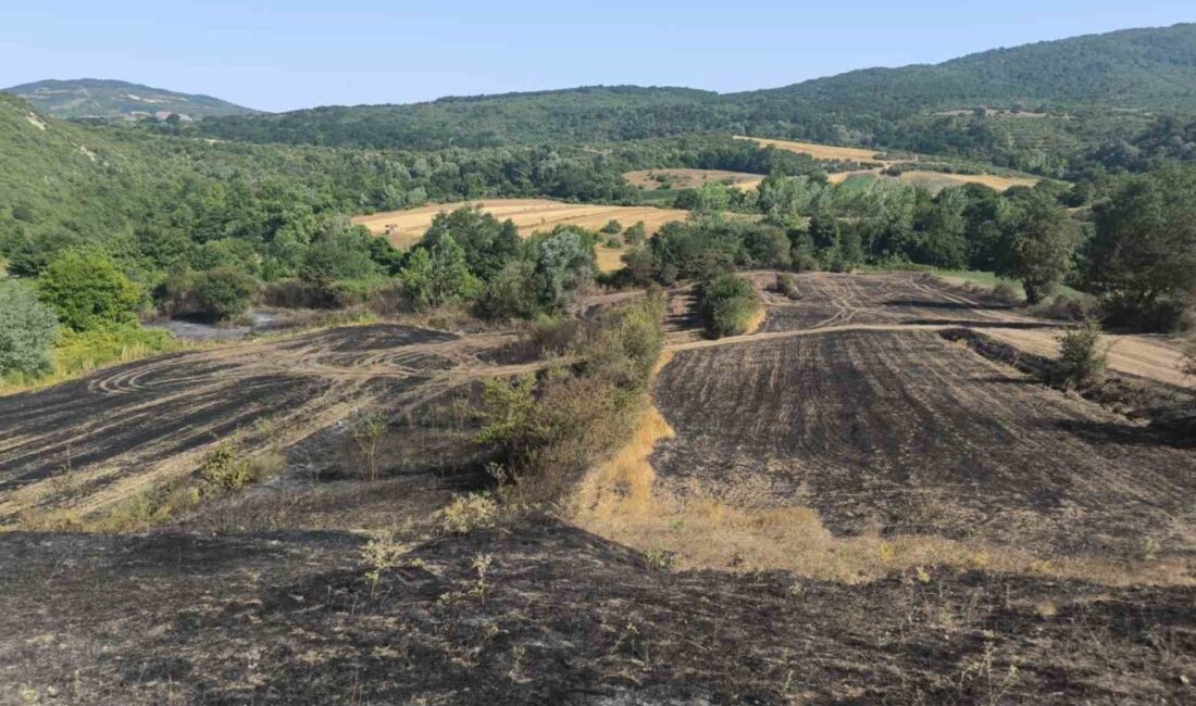 Kocaeli Büyükşehir Belediyesi, kenttin kırsal mahallelerinde çıkan yangınlarda tarlaları ve