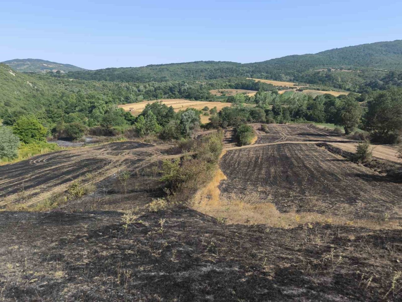 Kocaeli Büyükşehir Belediyesi, kenttin kırsal mahallelerinde çıkan yangınlarda tarlaları ve