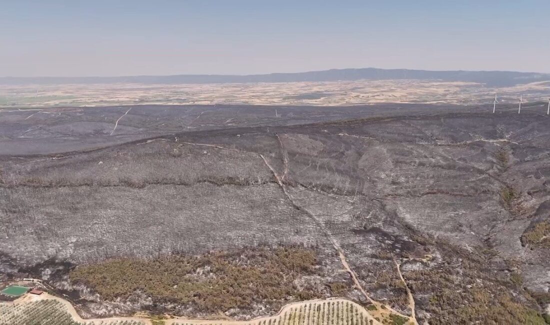 Tekirdağ’ın Şarköy ilçesinde yaklaşık iki gün süren orman yangını kontrol