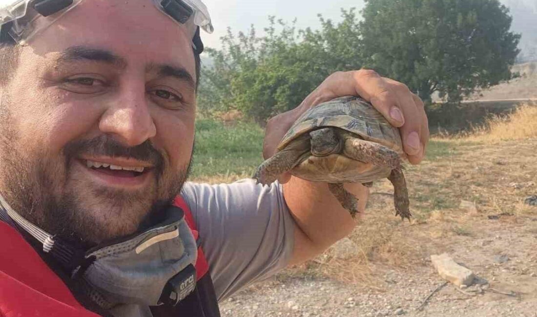 Bilecik’te 5 gündür devam eden orman yangını kontrol altına alınırken,