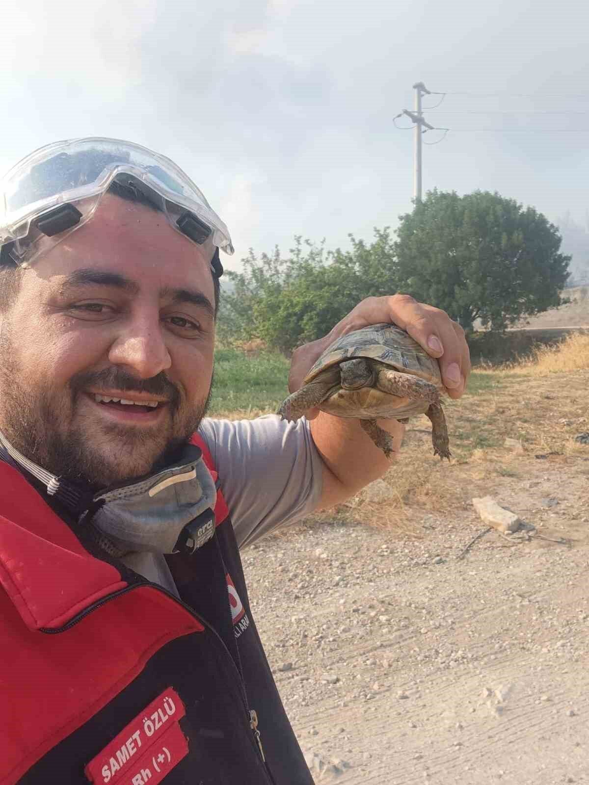 Bilecik’te 5 gündür devam eden orman yangını kontrol altına alınırken,