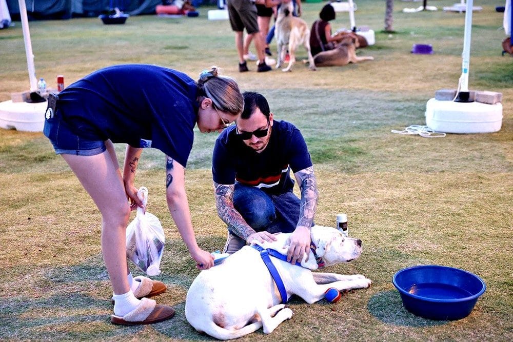 Çeşme Belediyesi, ÇESAL ve Kent Konseyi iş birliğiyle Alaçatı Patipark’ta