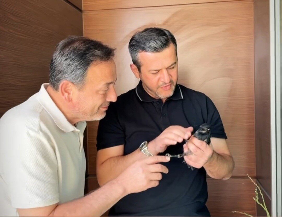 Karabük’te meydana gelen orman yangınlarında ekipler tarafından alevlerin arasından kurtarılan
