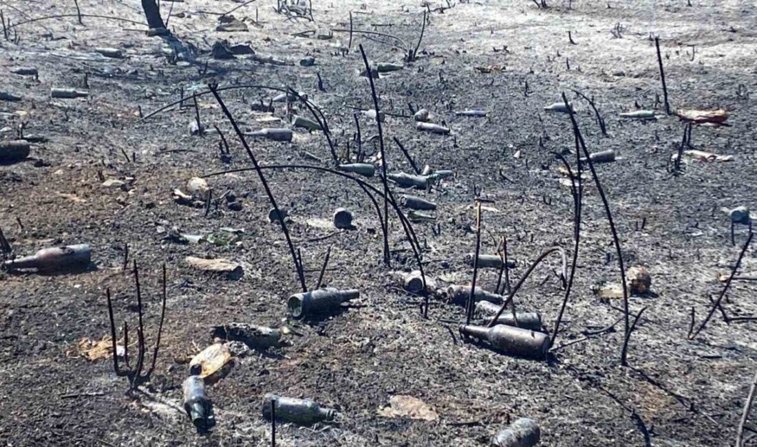 Kocaeli’nin Kartepe ilçesindeki otluk arazide çıkan yangın, itfaiye ekiplerince söndürüldü.