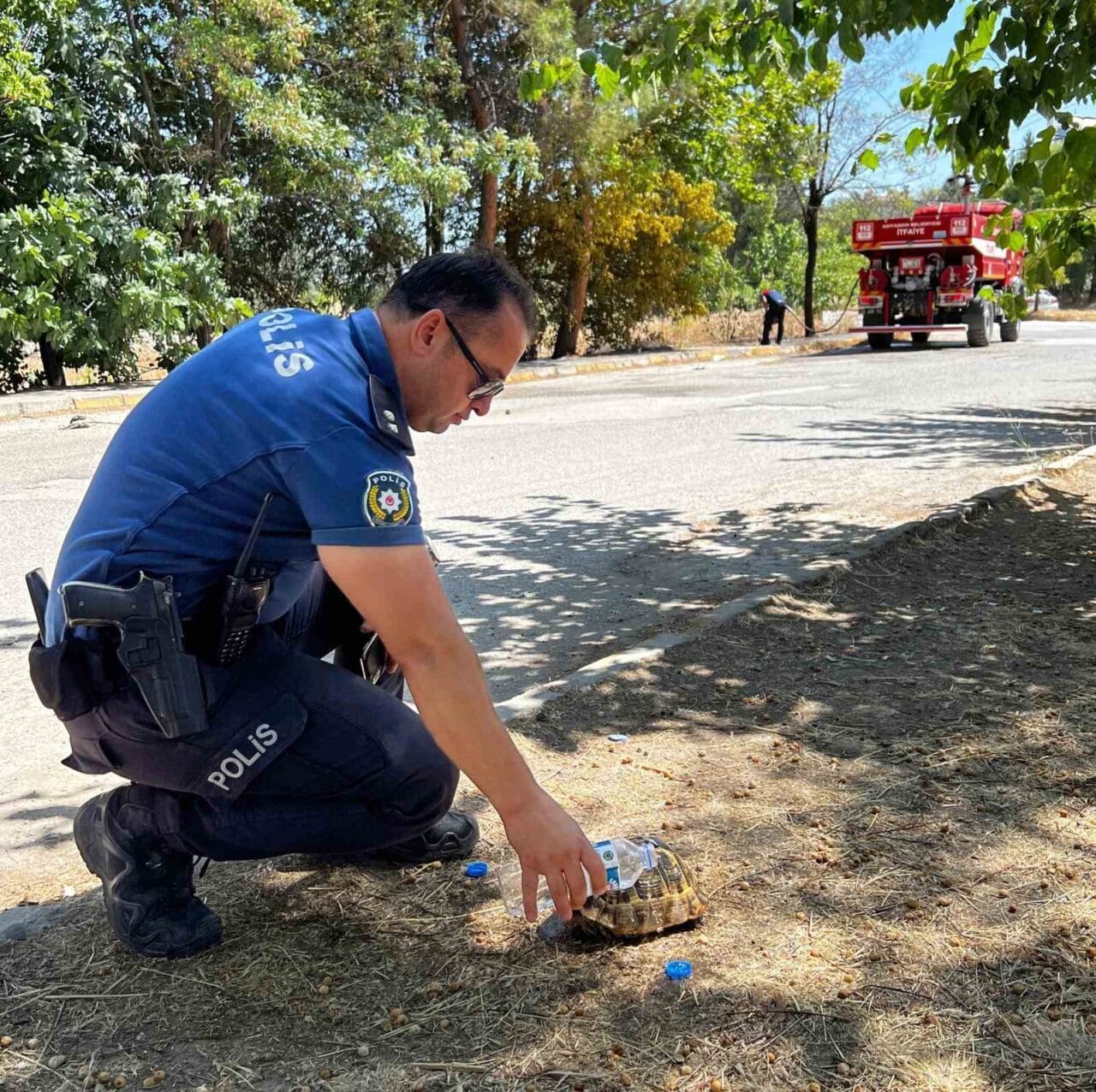 Adıyaman’da, ormanlık alan içerisinde çıkan yangında yanmak üzere olan bir