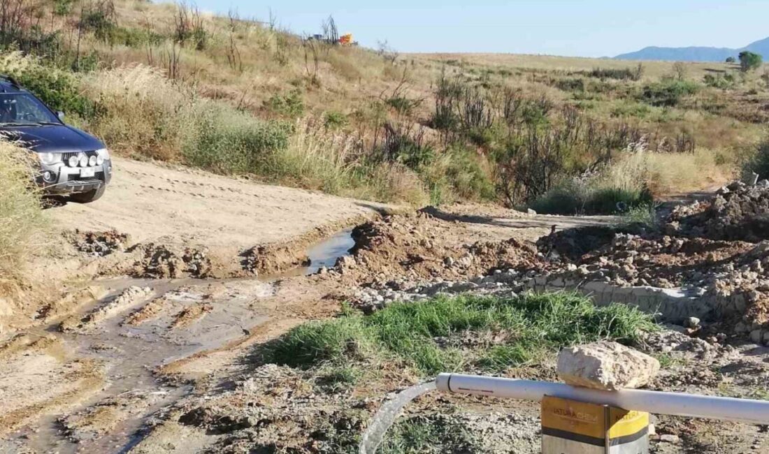 Denizli’nin Buldan ilçesinde artan orman yangınları ve iklim değişikliği nedeniyle