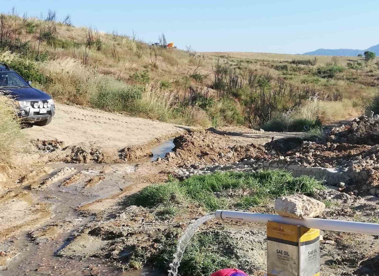 Denizli’nin Buldan ilçesinde artan orman yangınları ve iklim değişikliği nedeniyle