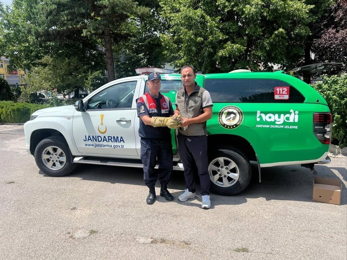 Erzincan’ın Üzümlü ilçesi Bayırbağ köyünde görevli devriye personelince yaralı halde