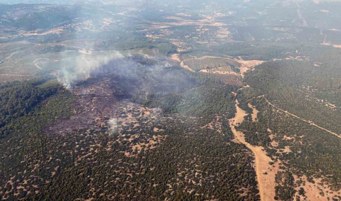 Muğla’nın Yatağan ilçesi Nebiköy Mahallesi Dipsiz mevkiinde başlayan orman yangını