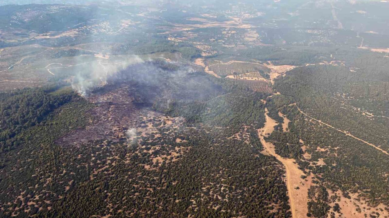Muğla’nın Yatağan ilçesi Nebiköy Mahallesi Dipsiz mevkiinde başlayan orman yangını
