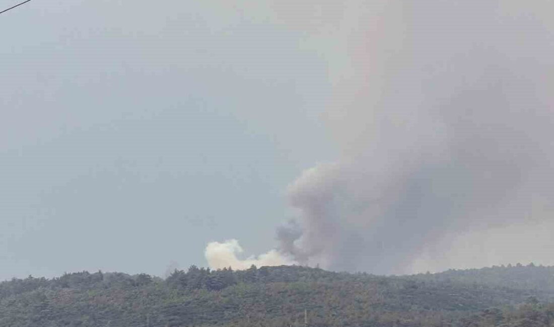 Muğla’nın Yatağan ilçesi Dipsiz mevkiinde yıldırım kaynaklı olduğu öğrenilen orman