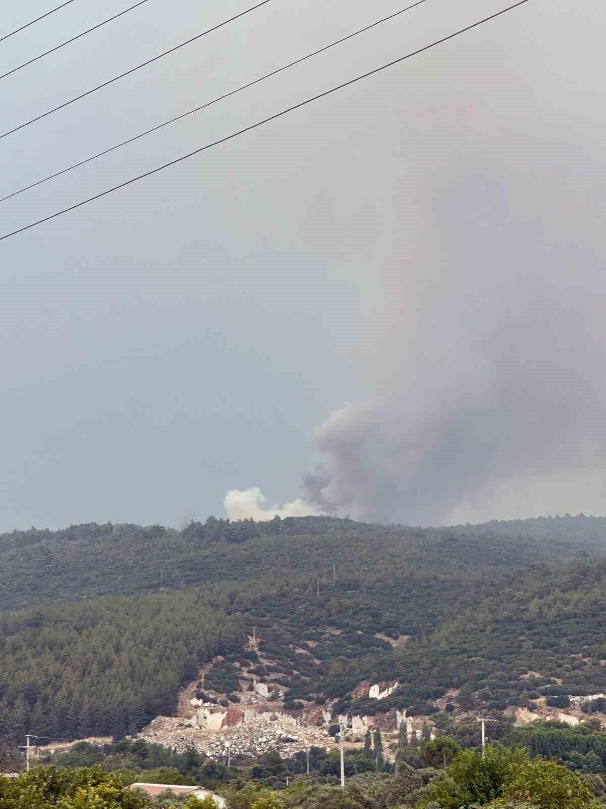 Muğla’nın Yatağan ilçesi Dipsiz mevkiinde yıldırım kaynaklı olduğu öğrenilen orman