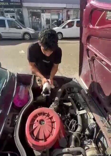 Erzurum’un Karayazı ilçesinde otomobilin motor bölümüne sıkışan yavru kedi hayvan