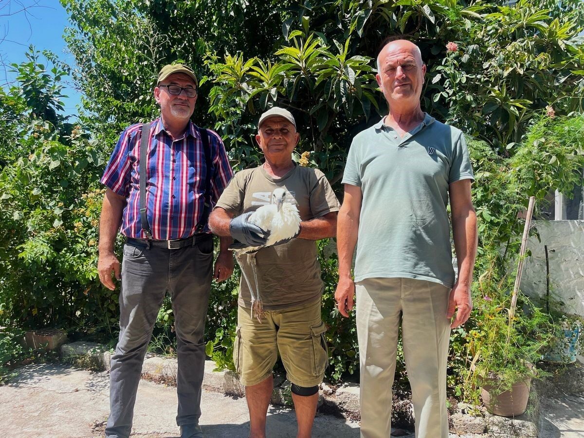 Aydın’da duyarlı vatandaşlar ve EKODOSD’un müdahaleleriyle, yuvadan düşen yavru leylek