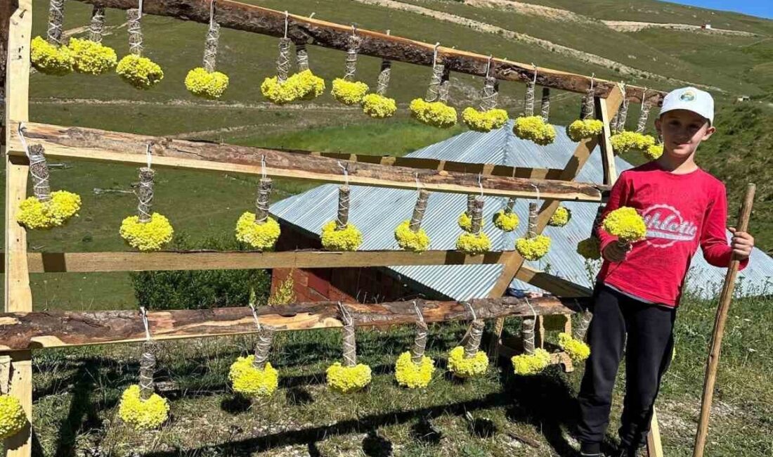 Giresun’da yaz aylarında aileleriyle birlikte yaylaya çıkan çocuklar, doğayla iç