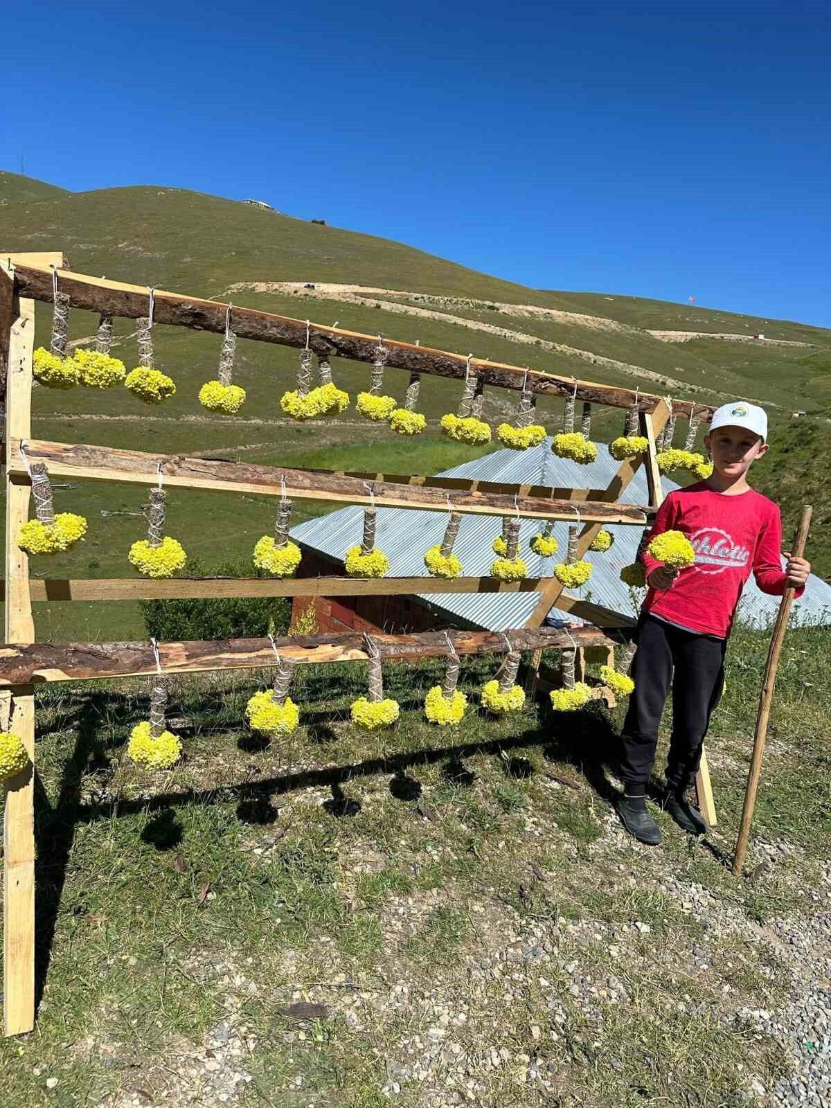 Giresun’da yaz aylarında aileleriyle birlikte yaylaya çıkan çocuklar, doğayla iç