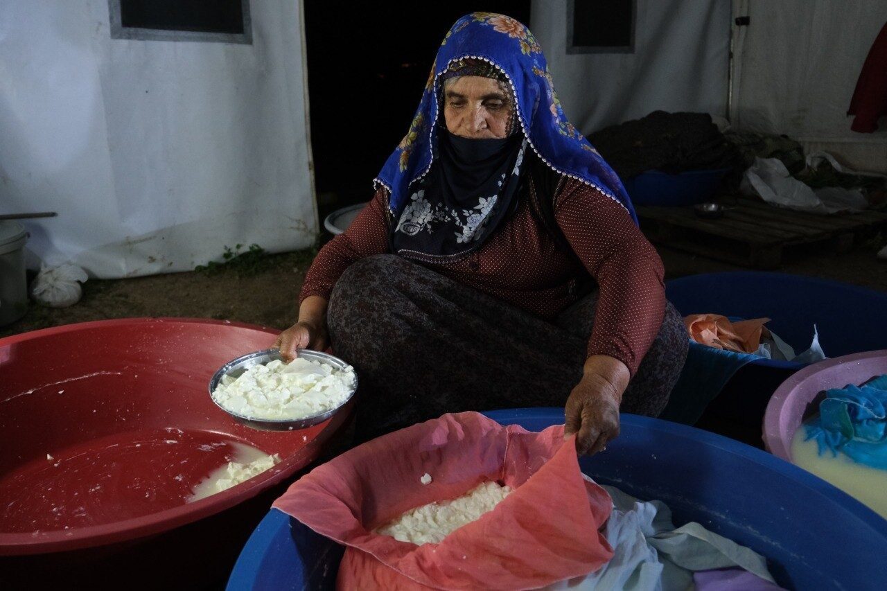Yüksek rakımlı yaylalarda beslenen akkaraman koyunu ile kıl keçisinin sütünden