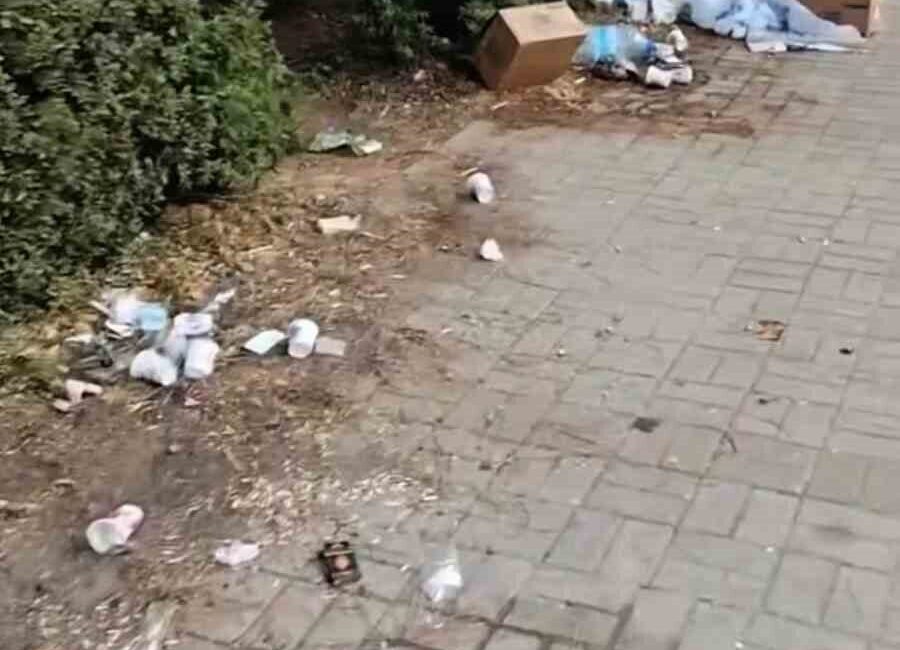 Kocaeli’nin Derince ilçesinde, bir mesire alanında yapılan eğlencenin ardından geriye