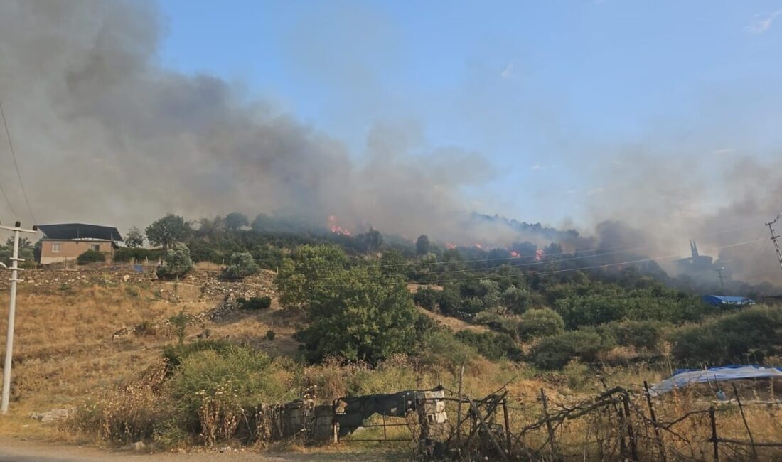 Aydın’ın Çine ilçesinde yerleşim yerine yakın bir mesafede çıkan yangın,