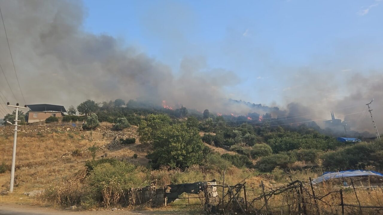 Aydın’ın Çine ilçesinde yerleşim yerine yakın bir mesafede çıkan yangın,