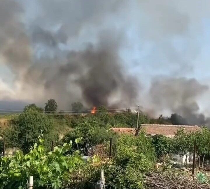 Edirne’de tarlada çıkıp ormanlık alana yayılan alevlerin evlere yaklaşmasıyla korku