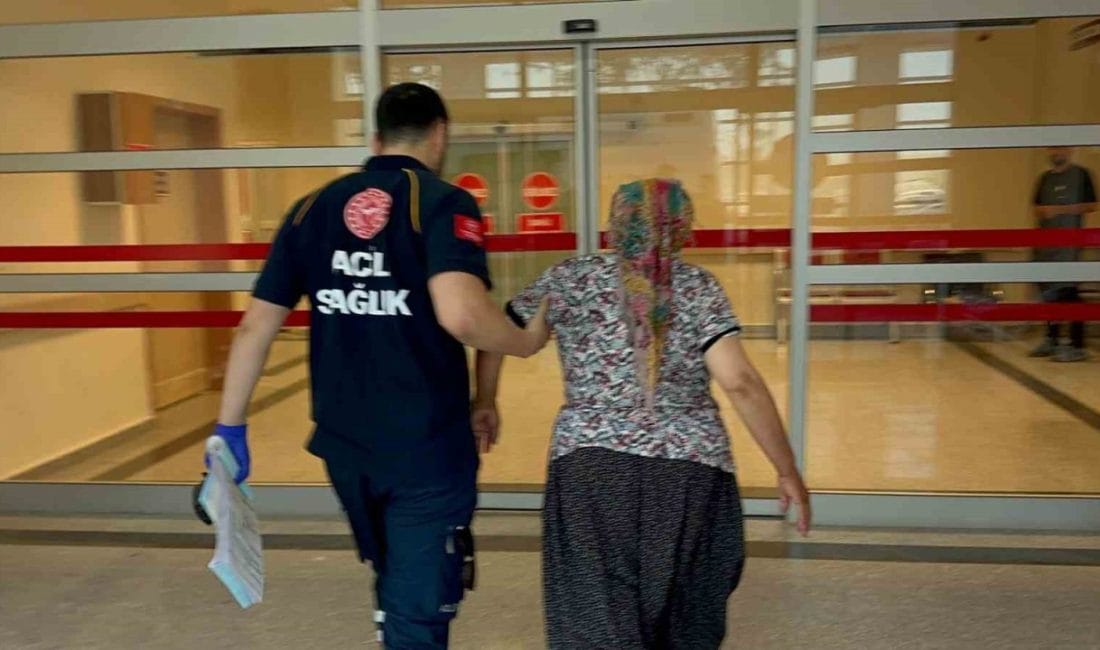 Adıyaman’da, yılan tarafından ısırılan kadın, hastaneye kaldırıldı. Adıyaman merkez Davuthan