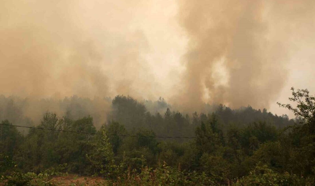 Yoğun dumanlar havadan müdahaleyi zorlaştırıyor Karabük’te yaklaşık 24 saat önce başlayan orman yangınını söndürme çalışmaları