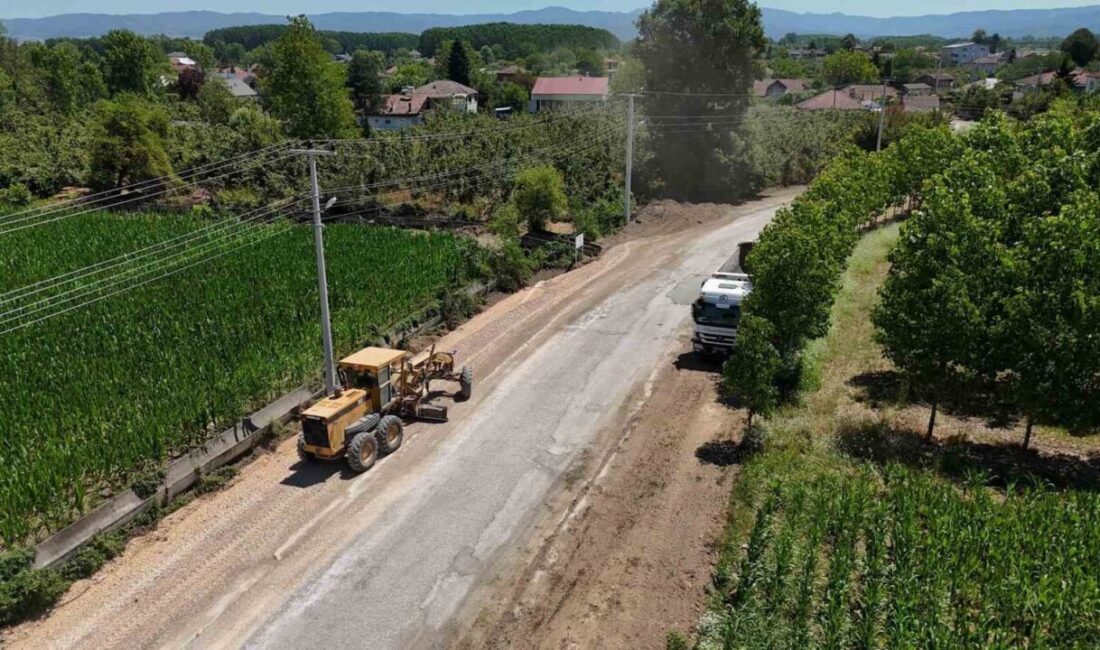 DÜZCE (İHA) – Düzce Belediyesi Fen İşleri Müdürlüğü ekipleri, il