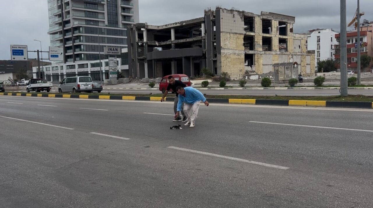 Hatay’da trafiğin yoğun olarak yaşandığı yolun ortasında mahsur kalan yavru