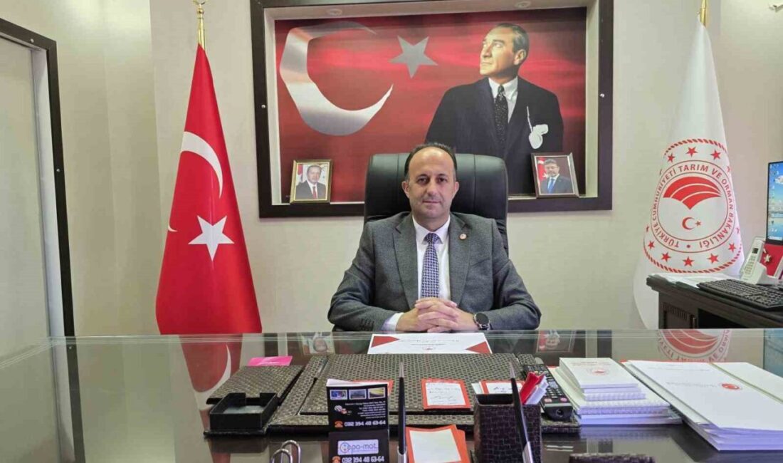 Yozgat, 225 bin dekar arazide 27 bin ton hasatla, yeşil