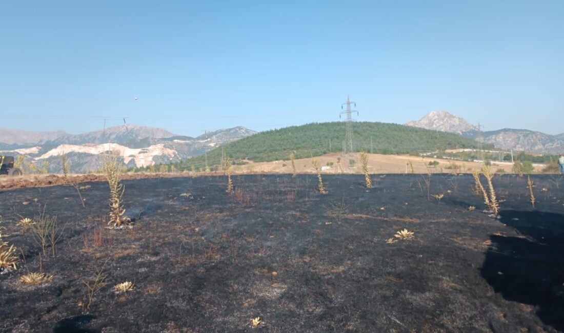 Isparta’nın Eğirdir ilçesinde bir karganın yüksek gerilim hattına çarpması sonucu