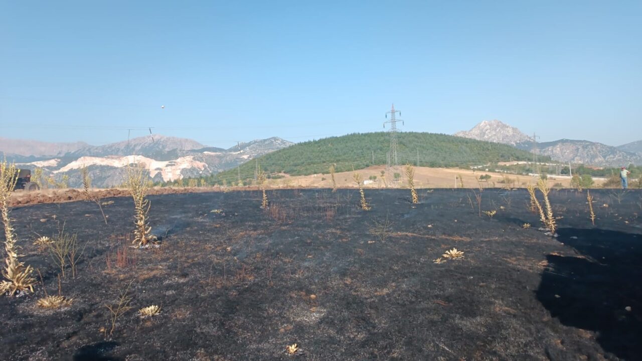 Isparta’nın Eğirdir ilçesinde bir karganın yüksek gerilim hattına çarpması sonucu