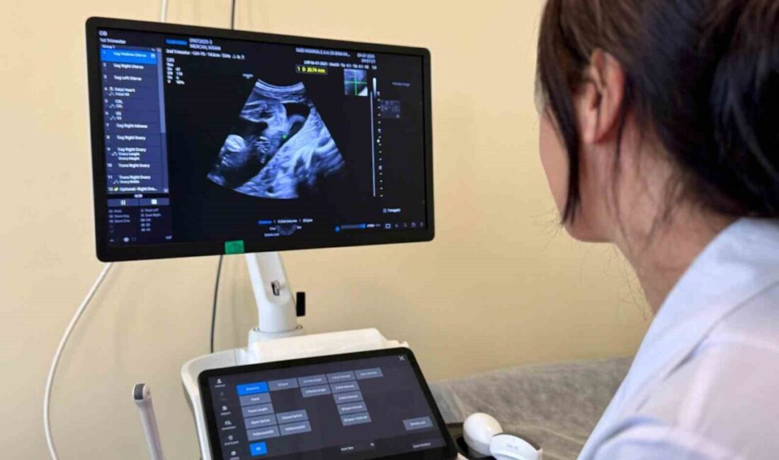 Diyarbakır Gazi Yaşargil Eğitim ve Araştırma Hastanesi’nde, anne ve bebek