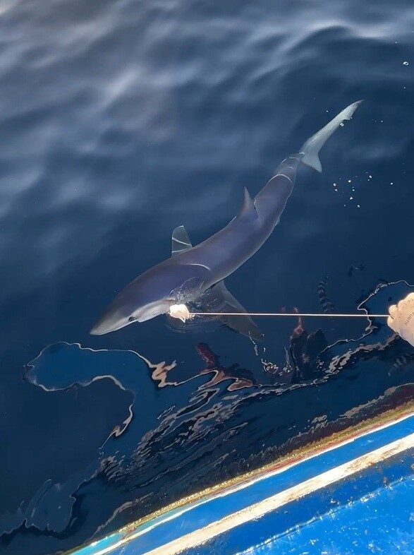 Çanakkale’nin Gökçeada ilçesinde geçtiğimiz yıllarda Yunanistan Sahil Güvenlik unsurlarına kafa