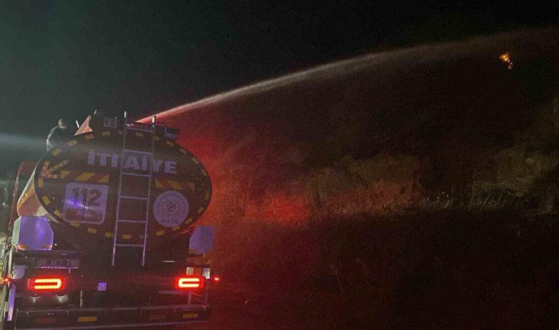 Aydın’ın Efeler ilçesi Ilıcabaşı Mahallesi’nde zeytinlik alanda çıkan yangın, ekiplerin